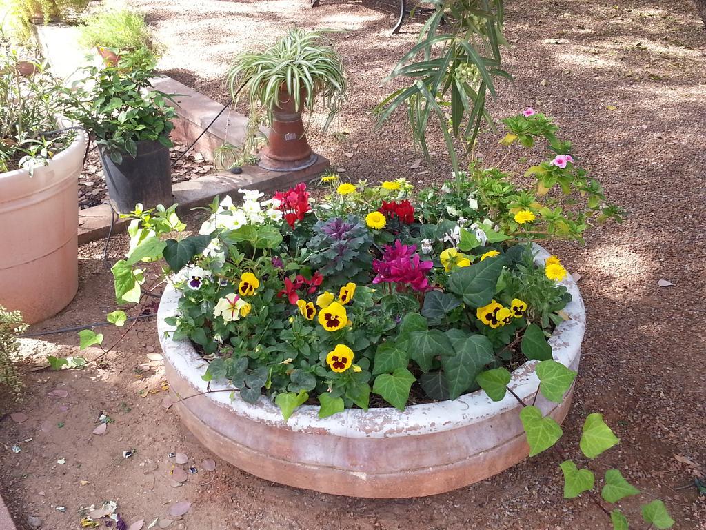 Sam Hughes Inn B&B Tucson Zewnętrze zdjęcie