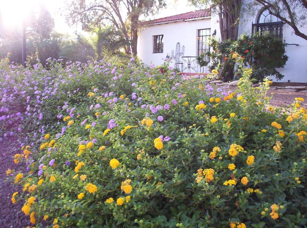 Sam Hughes Inn B&B Tucson Zewnętrze zdjęcie